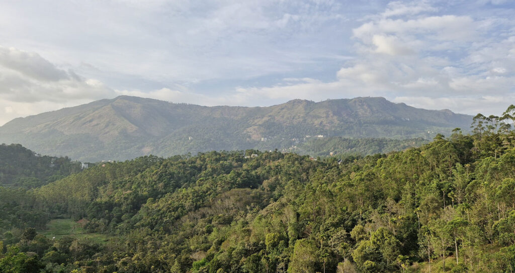 Waking Up Above the Clouds: The Best Mountain View Spots in Munnar